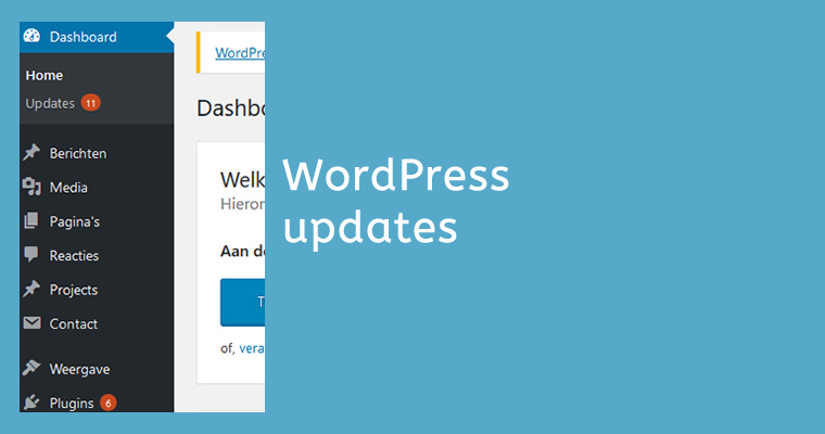 Updaten WordPress en Plugins